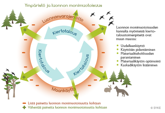 Luonnonvarojen otto ja maankäyttö lisäävät painetta luonnon monimuotoisuudelle. Kiertotalous taas vähentää painetta luonnon monimuotoisuutta kohtaan. 